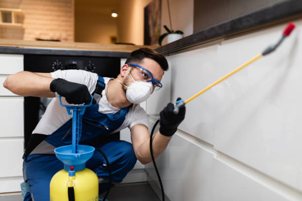 Best Ant Control Services  in Wolfe City, TX