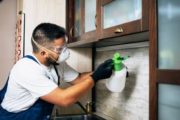 Best Pest Control for Businesses  in Wolfe City, TX
