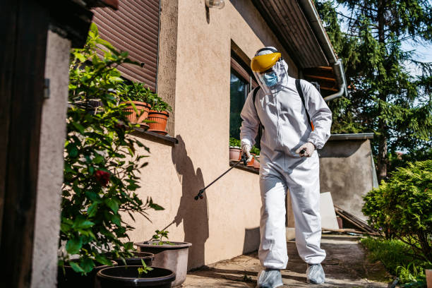 Best Pest Removal Services  in Wolfe City, TX