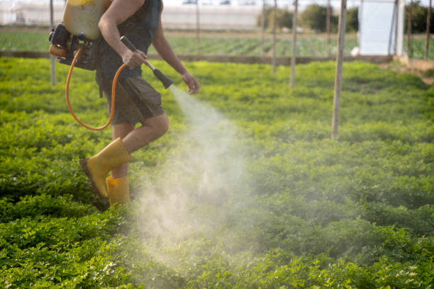 Best Residential Pest Control  in Wolfe City, TX