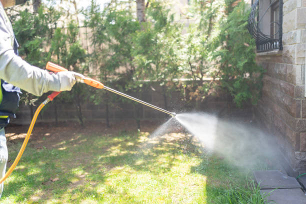 Best Termite Control Services  in Wolfe City, TX