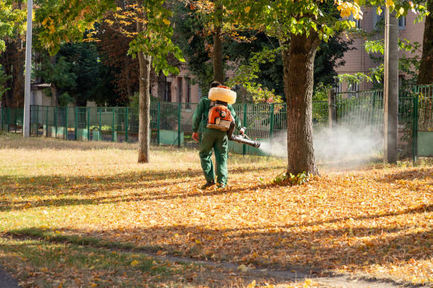 Best Pest Prevention Services  in Wolfe City, TX