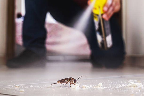 Best Affordable Pest Control Services  in Wolfe City, TX
